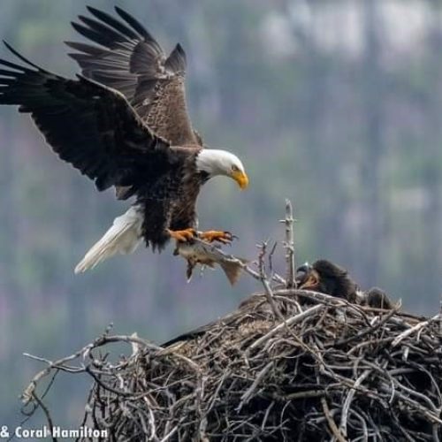 FB_IMG_1627178023080 (1)