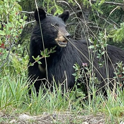 WhatsApp Image 2025-01-22 at 09.29.58_5766ffa2